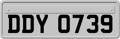 DDY0739
