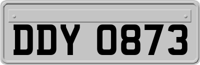 DDY0873