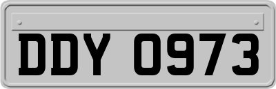 DDY0973