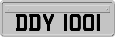 DDY1001