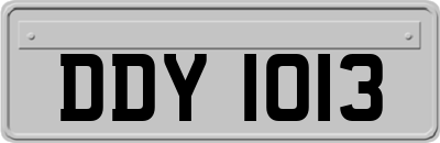 DDY1013