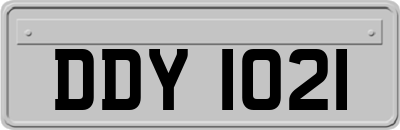 DDY1021