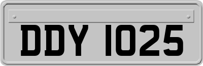 DDY1025