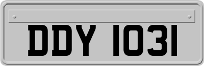 DDY1031