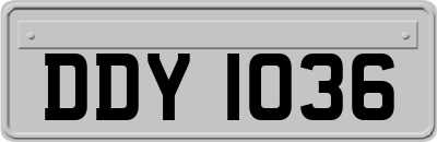 DDY1036