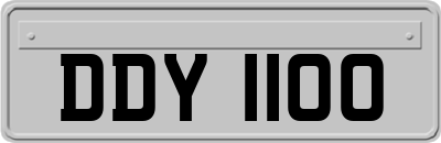 DDY1100