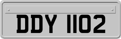DDY1102