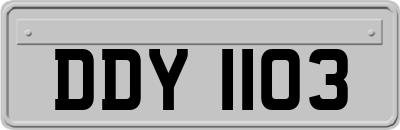 DDY1103