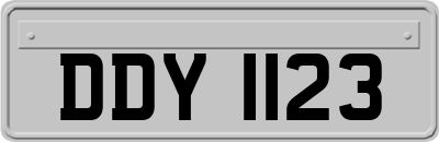 DDY1123