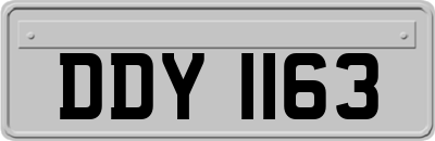 DDY1163