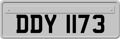 DDY1173