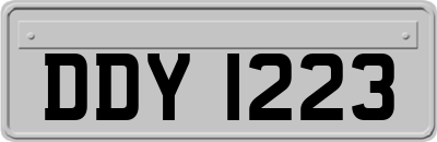 DDY1223