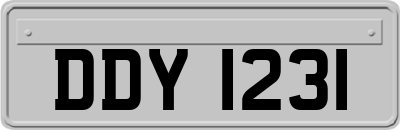 DDY1231