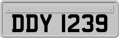 DDY1239