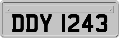 DDY1243