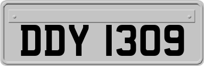 DDY1309