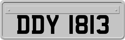 DDY1813