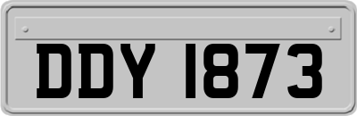 DDY1873