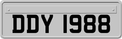 DDY1988