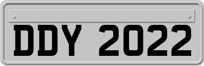 DDY2022