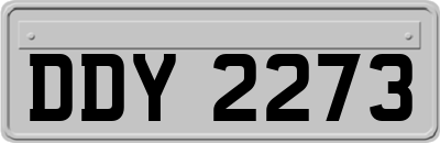 DDY2273