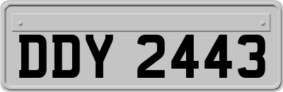 DDY2443