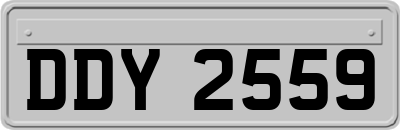 DDY2559
