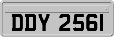 DDY2561