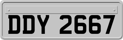 DDY2667