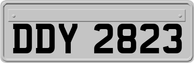 DDY2823