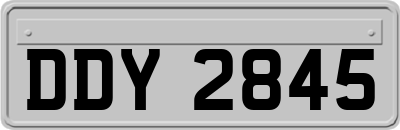 DDY2845