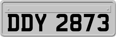 DDY2873