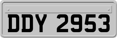 DDY2953