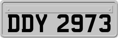 DDY2973