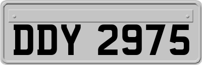 DDY2975