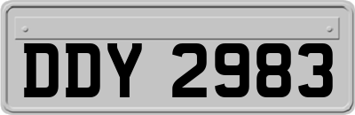 DDY2983