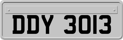 DDY3013