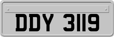 DDY3119