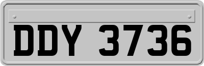 DDY3736