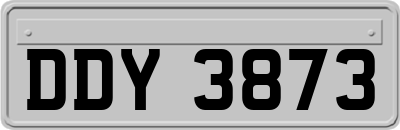 DDY3873