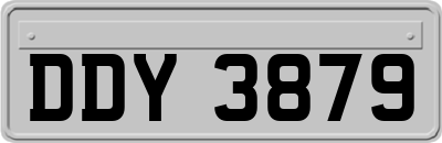 DDY3879