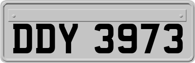 DDY3973