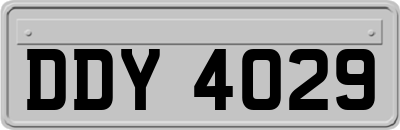 DDY4029