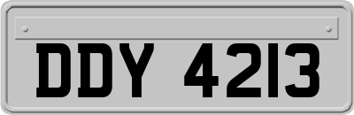 DDY4213