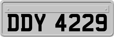 DDY4229