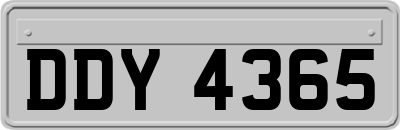 DDY4365