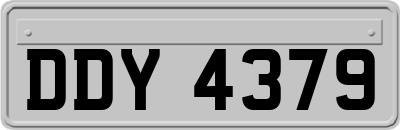DDY4379