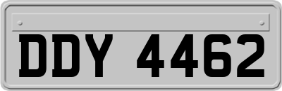 DDY4462