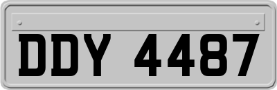 DDY4487