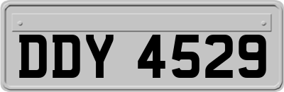 DDY4529